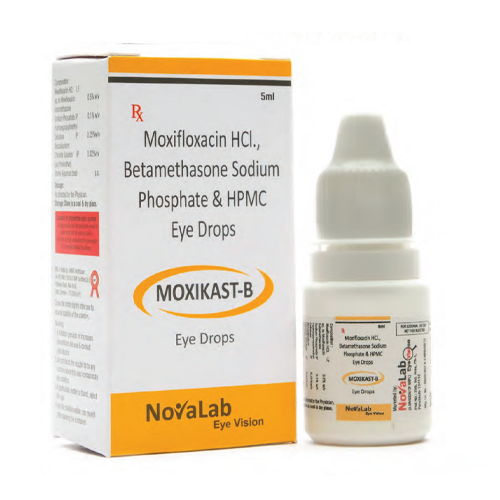Moxikast-B | Main | Novalab Eyevision