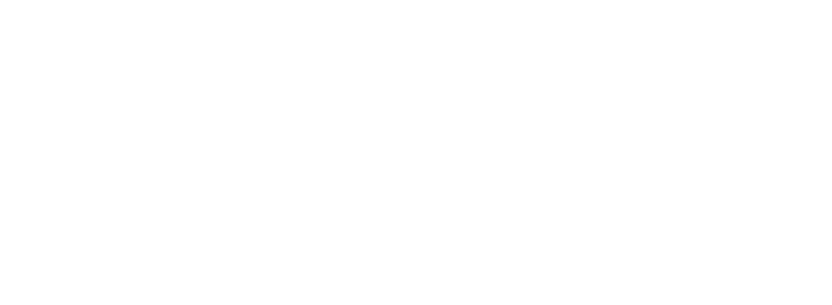 Novalab Eyevision